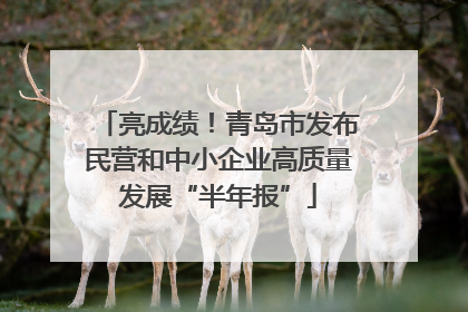 亮成绩！青岛市发布民营和中小企业高质量发展“半年报”