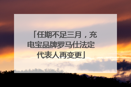 任期不足三月，充电宝品牌罗马仕法定代表人再变更