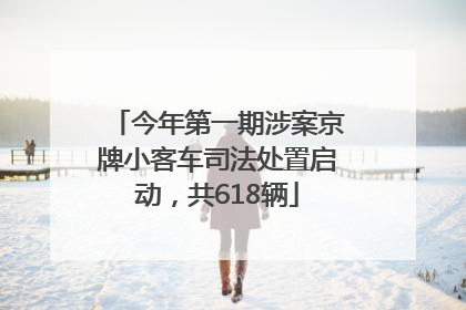 今年第一期涉案京牌小客车司法处置启动，共618辆