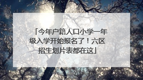 今年户籍人口小学一年级入学开始报名了！六区招生划片表都在这