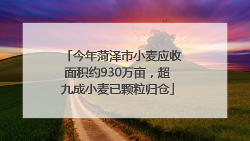 今年菏泽市小麦应收面积约930万亩，超九成小麦已颗粒归仓