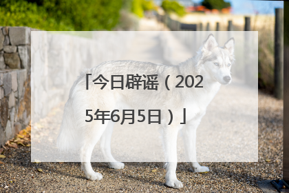 今日辟谣（2025年6月5日）