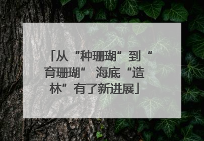 从“种珊瑚”到“育珊瑚” 海底“造林”有了新进展