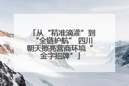 从“精准滴灌”到“全链护航” 四川朝天擦亮营商环境“金字招牌”