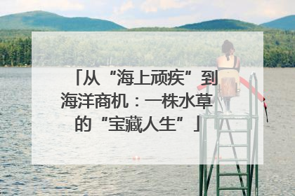 从“海上顽疾”到海洋商机：一株水草的“宝藏人生”