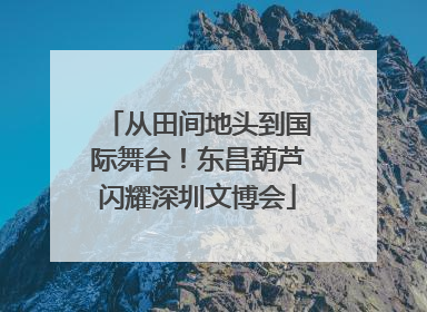 从田间地头到国际舞台！东昌葫芦闪耀深圳文博会