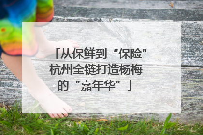 从保鲜到“保险” 杭州全链打造杨梅的“嘉年华”