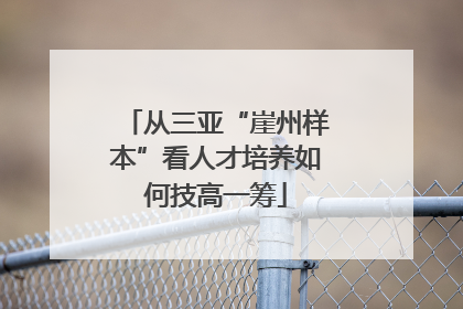 从三亚“崖州样本”看人才培养如何技高一筹