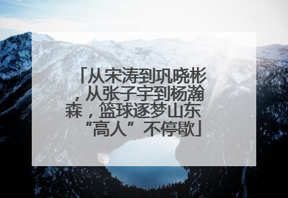 从宋涛到巩晓彬，从张子宇到杨瀚森，篮球逐梦山东“高人”不停歇