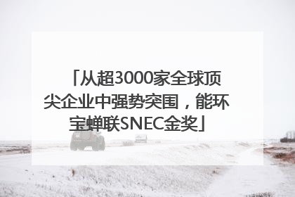 从超3000家全球顶尖企业中强势突围，能环宝蝉联SNEC金奖