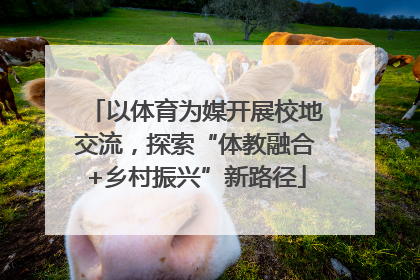 以体育为媒开展校地交流，探索“体教融合+乡村振兴”新路径