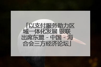 以支付服务助力区域一体化发展 银联出席东盟－中国－海合会三方经济论坛