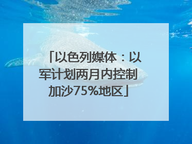 以色列媒体：以军计划两月内控制加沙75%地区