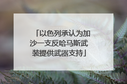以色列承认为加沙一支反哈马斯武装提供武器支持