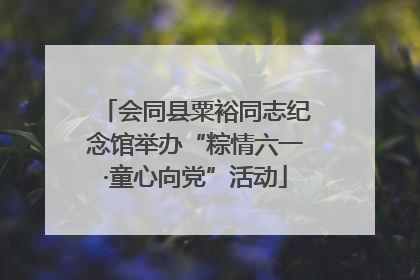 会同县粟裕同志纪念馆举办“粽情六一·童心向党”活动