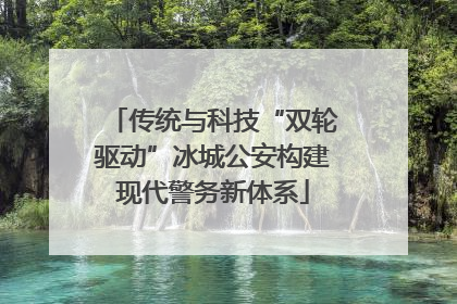 传统与科技“双轮驱动”冰城公安构建现代警务新体系