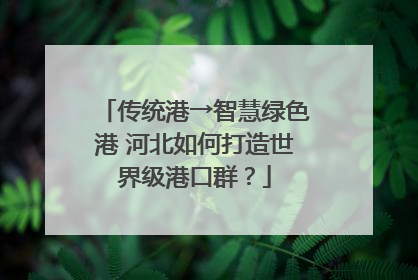 传统港→智慧绿色港 河北如何打造世界级港口群？