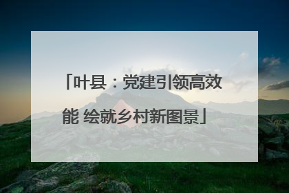 叶县：党建引领高效能 绘就乡村新图景