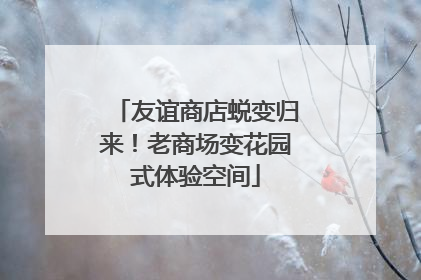 友谊商店蜕变归来！老商场变花园式体验空间
