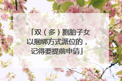 双（多）胞胎子女以捆绑方式派位的，记得要提前申请