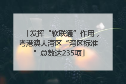 发挥“软联通”作用，粤港澳大湾区“湾区标准”总数达235项