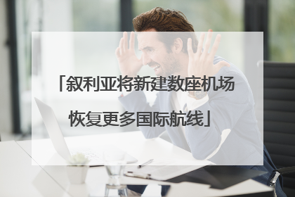 叙利亚将新建数座机场 恢复更多国际航线
