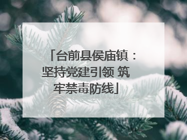 台前县侯庙镇：坚持党建引领 筑牢禁毒防线