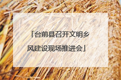台前县召开文明乡风建设现场推进会