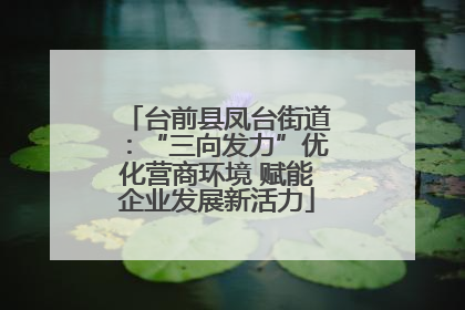 台前县凤台街道：“三向发力”优化营商环境 赋能企业发展新活力