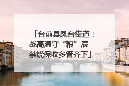 台前县凤台街道：战高温守“粮”辰 禁烧保收多管齐下