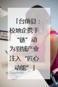 台前县：校地企携手“链”动 为羽绒产业注入“匠心动能”