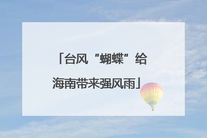 台风“蝴蝶”给海南带来强风雨