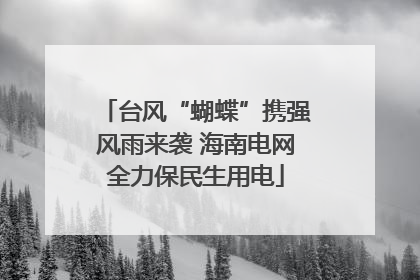 台风“蝴蝶”携强风雨来袭 海南电网全力保民生用电