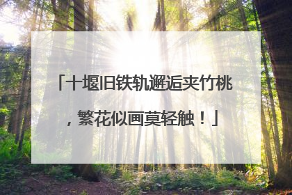 十堰旧铁轨邂逅夹竹桃，繁花似画莫轻触！