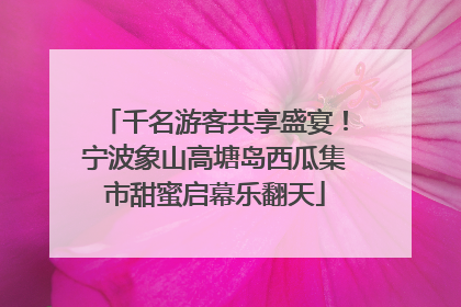 千名游客共享盛宴！宁波象山高塘岛西瓜集市甜蜜启幕乐翻天
