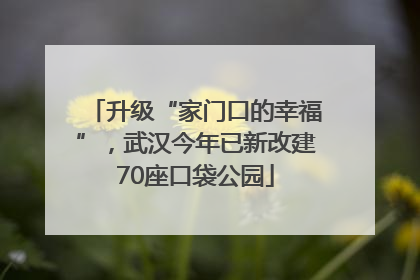 升级“家门口的幸福”，武汉今年已新改建70座口袋公园
