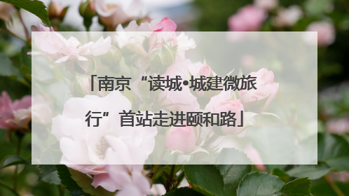 南京“读城•城建微旅行”首站走进颐和路