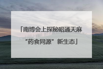 南博会上探秘昭通天麻“药食同源”新生态