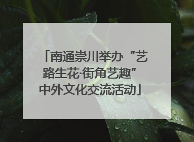 南通崇川举办“艺路生花·街角艺趣”中外文化交流活动