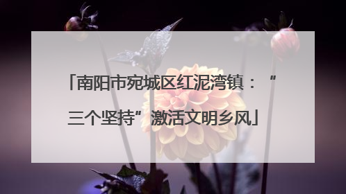 南阳市宛城区红泥湾镇：“三个坚持”激活文明乡风