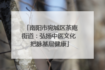 南阳市宛城区茶庵街道：弘扬中医文化 把脉基层健康