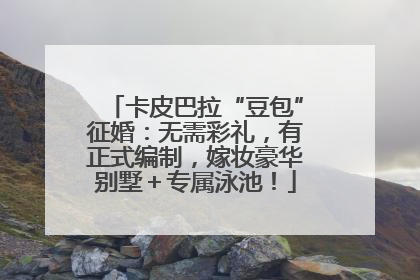 卡皮巴拉“豆包”征婚：无需彩礼，有正式编制，嫁妆豪华别墅＋专属泳池！