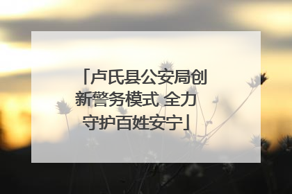 卢氏县公安局创新警务模式 全力守护百姓安宁