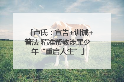 卢氏：宣告+训诫+普法 精准帮教涉罪少年“重启人生”