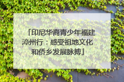 印尼华裔青少年福建漳州行：感受祖地文化和侨乡发展脉搏