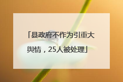 县政府不作为引重大舆情，25人被处理