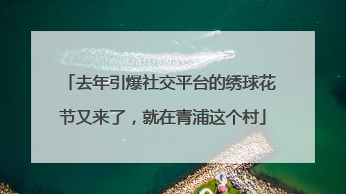 去年引爆社交平台的绣球花节又来了，就在青浦这个村