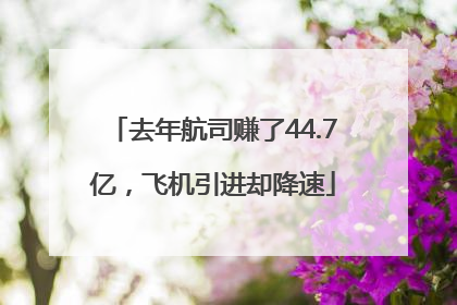 去年航司赚了44.7亿，飞机引进却降速