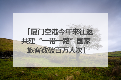 厦门空港今年来往返共建“一带一路”国家旅客数破百万人次