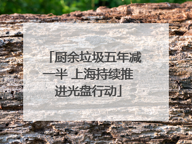 厨余垃圾五年减一半 上海持续推进光盘行动